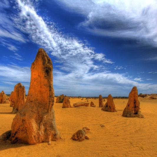 オーストラリア・パース 3泊4日/3泊5日(延泊可)【2025年10月1日~2026年3月31日出発】