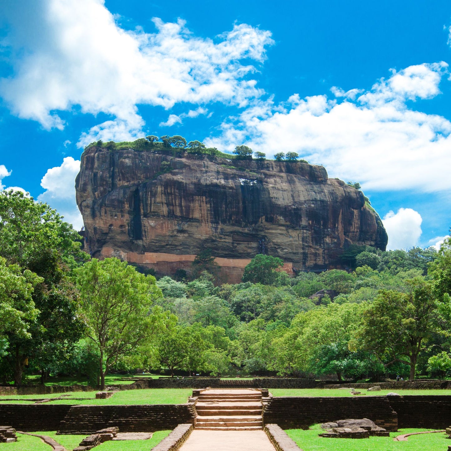 スリランカ 2泊4日/3泊5日 【2025年11月1日~2026年4月30日出発】