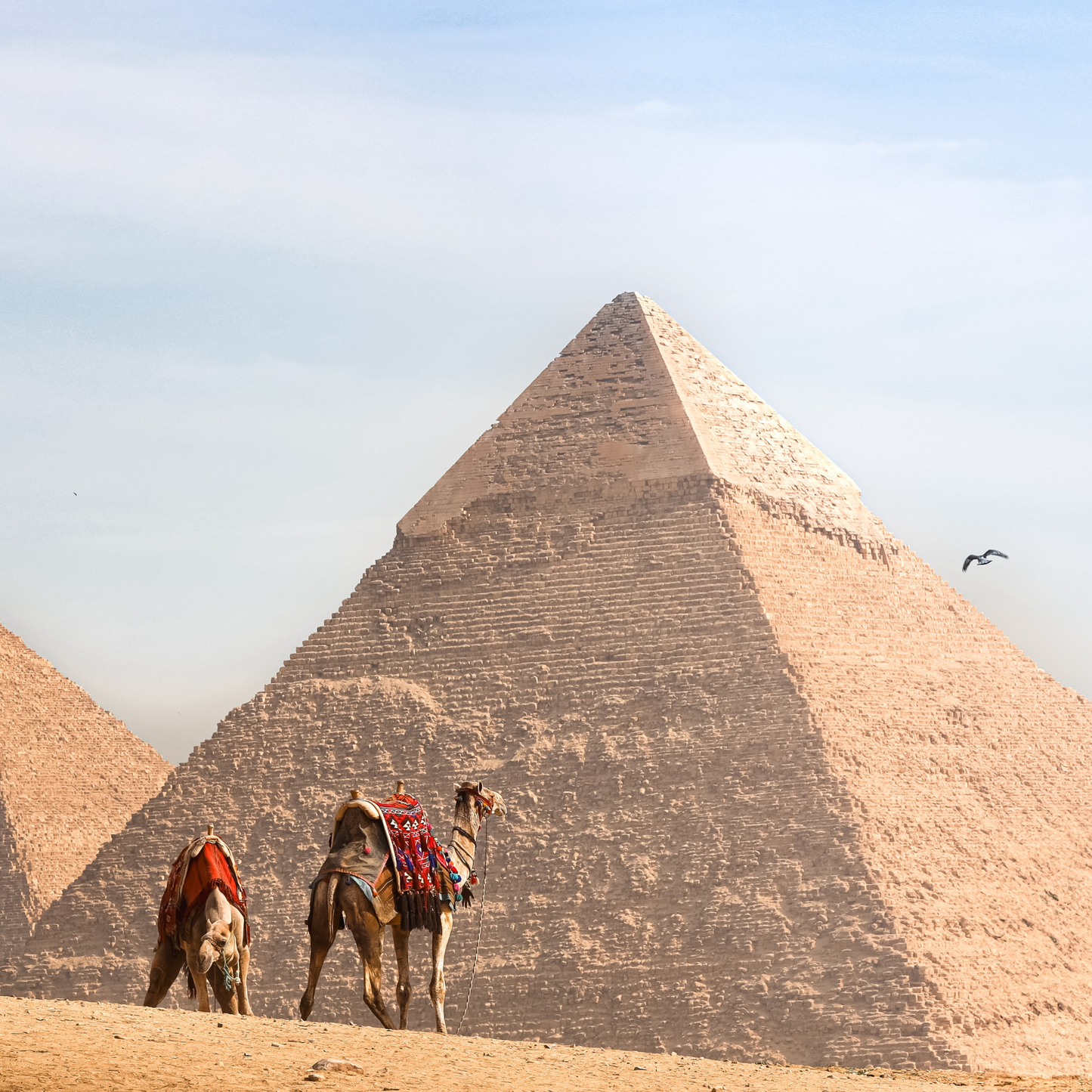 エジプト　3泊5日 【2025年11月1日～2026年4月30日出発】